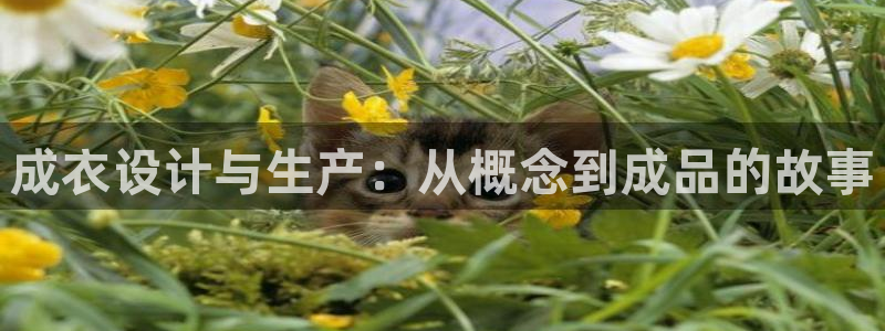 乐发体育平台官网下载