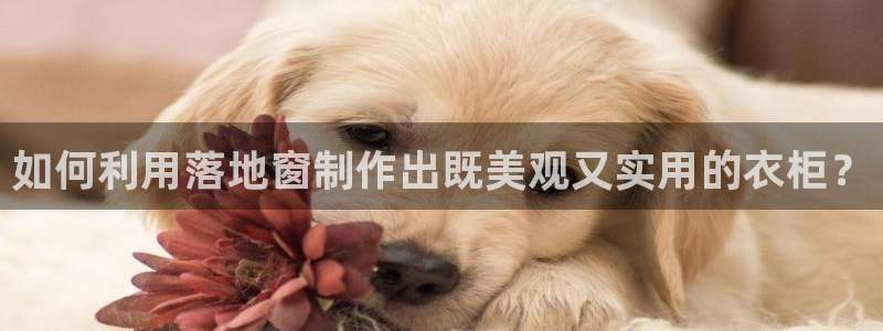 乐发平台下载安装官网