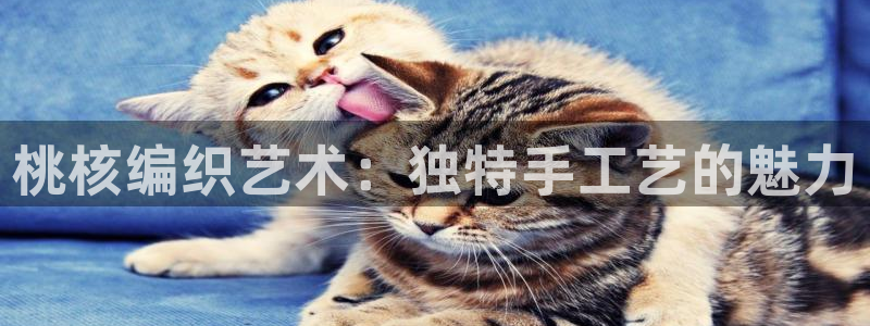 乐发平台a
