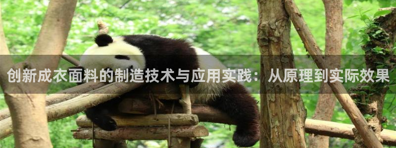 乐发第一娱乐平台邀请码