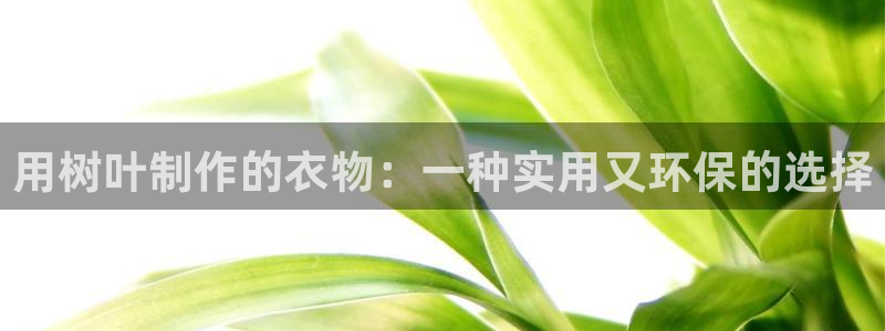必乐2平台19发指尖