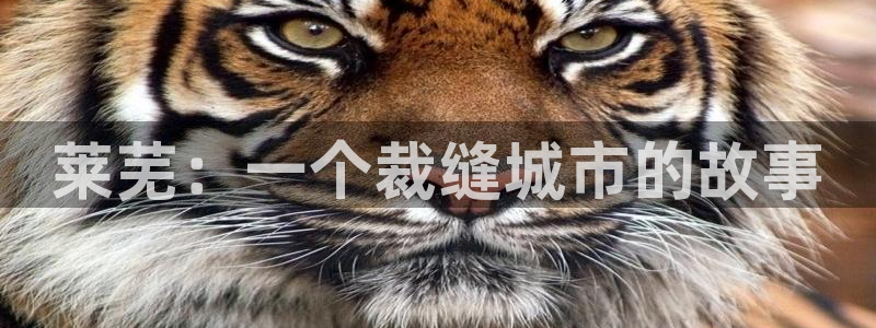 乐发500大小单双平台