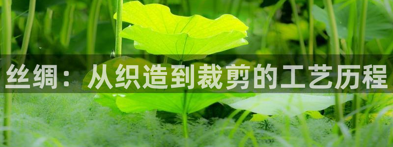 乐享发圈是个什么平台