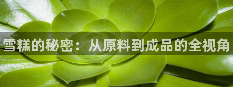乐跑工资发平台还是卡里