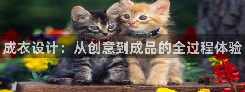 乐发lv平台