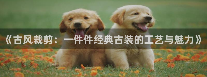 乐发平台邀请码是多少号
