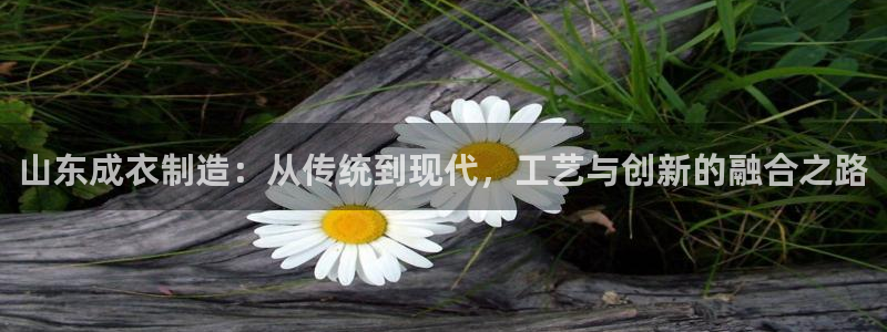 类似乐发传媒的平台