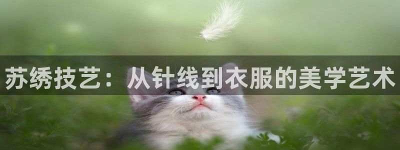 乐发旗下的平台有多少个
