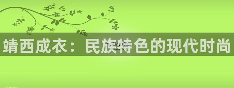 乐发v11平台怎样