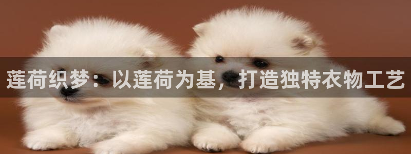 乐发所有平台都有哪些