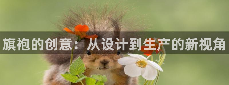 乐发xl彩票平台正规不