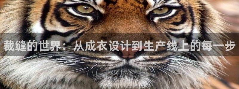 乐发lv是正规平台吗