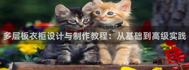 乐发平台邀请码是多少
