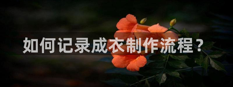 乐发IV投大小平台