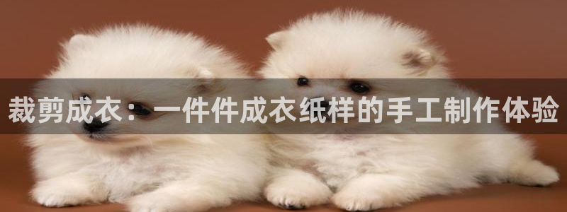 乐发平台注册流程图