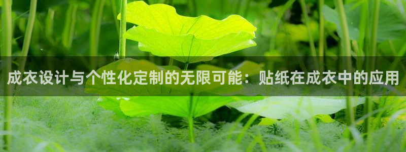 乐豪发平台在线