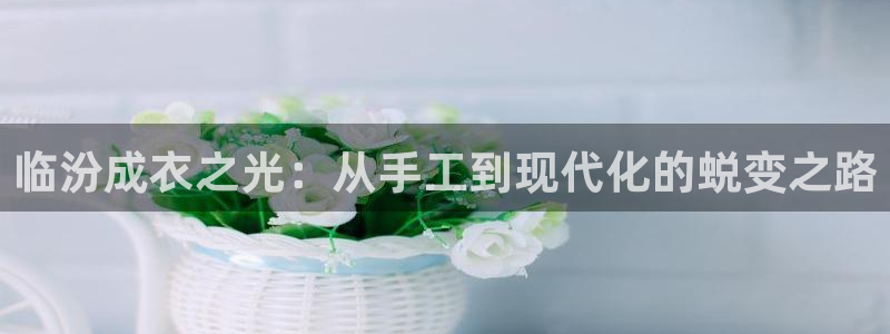 乐发国际娱乐平台