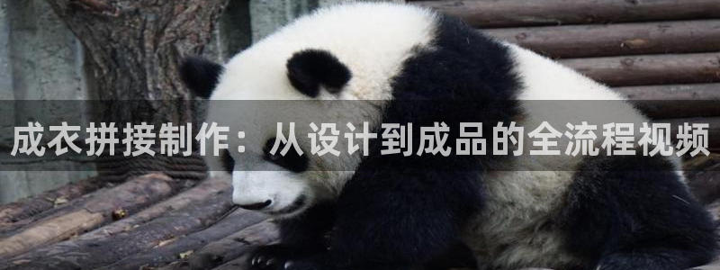 乐发平台网址