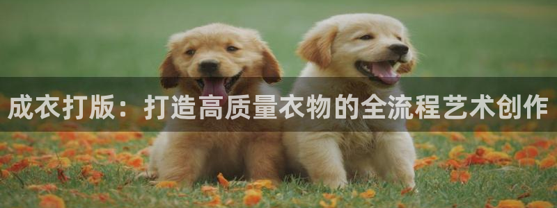 乐豪发是黑平台吗