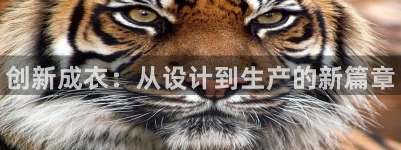 乐发彩票平台下载