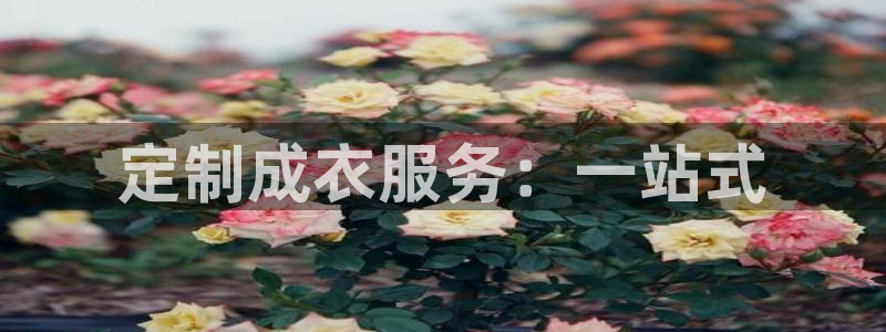 乐发平台金辉娱乐怎么样