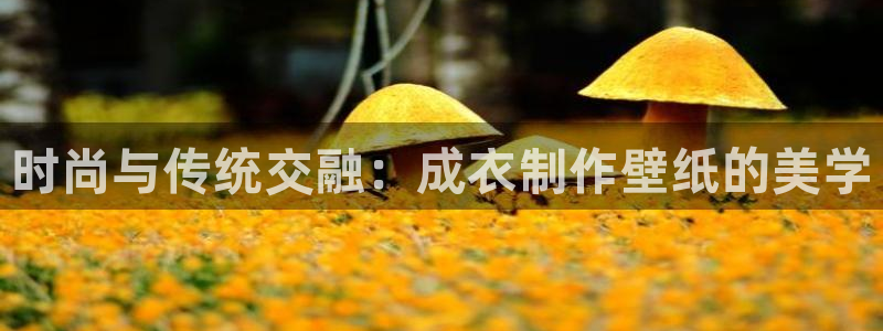 乐发体育平台官网下载