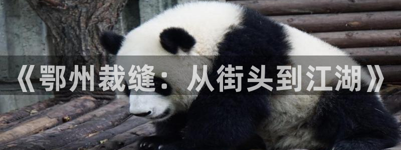 类似乐发传媒的平台