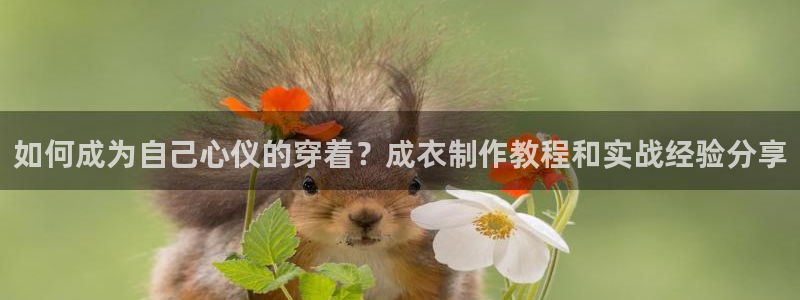 乐发平台赚钱技巧是什么