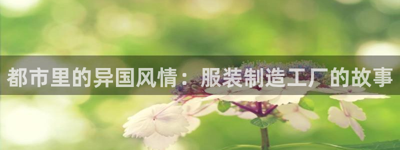 乐发平台彩票怎么样