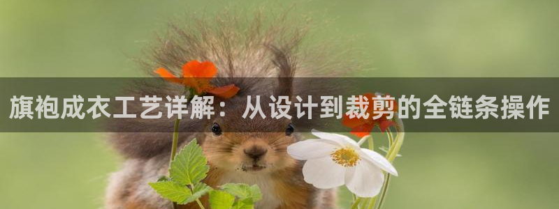 乐发彩票官网登录平台