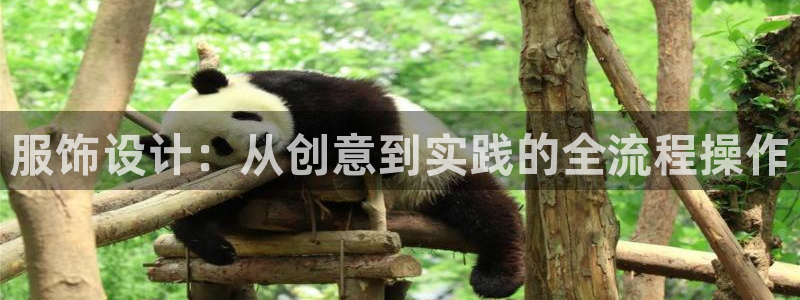 乐发彩票app平台大全