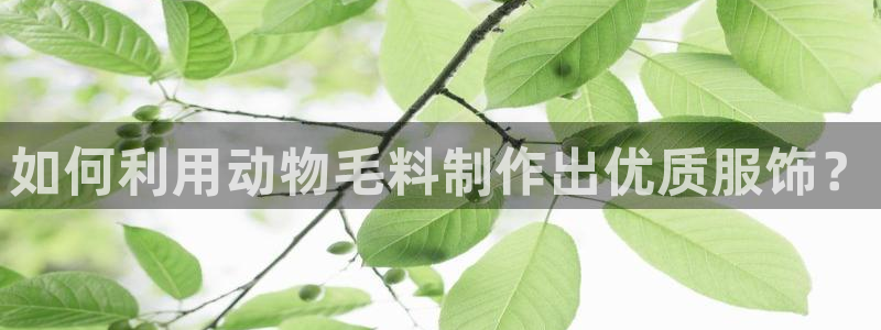 乐豪发平台在线