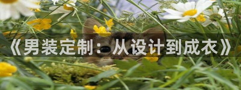 乐发平台邀请码是多少号